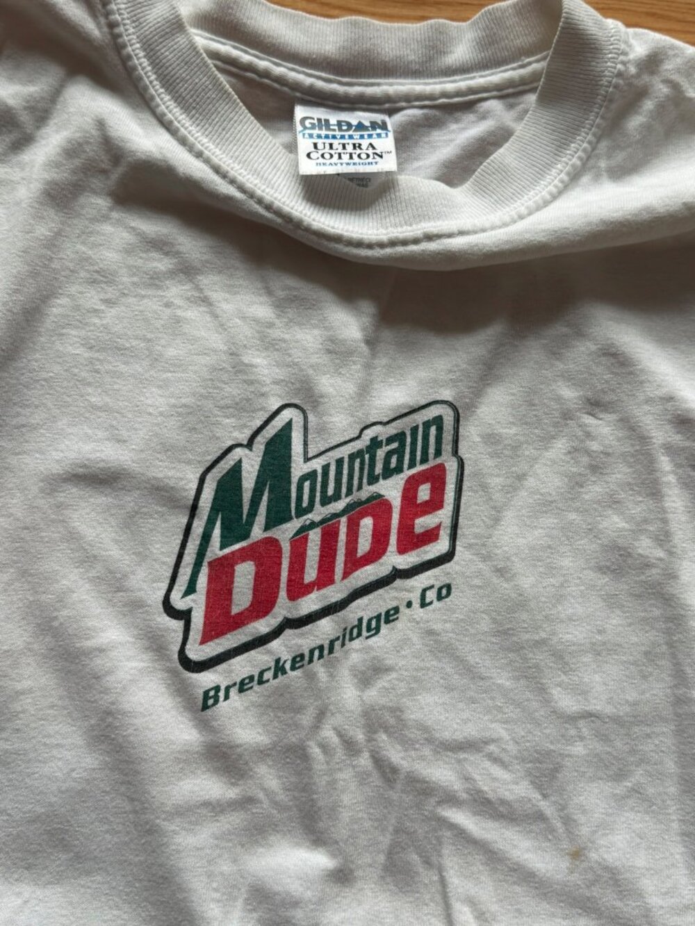 Vintage Y2K Mountain Dude Breckenridge Colorado Parody T-Shirt Mens [size] Tee